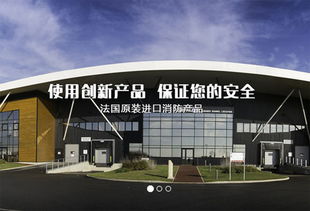 上海建網站公司成功簽約法國代福中國，助力企業數字化升級